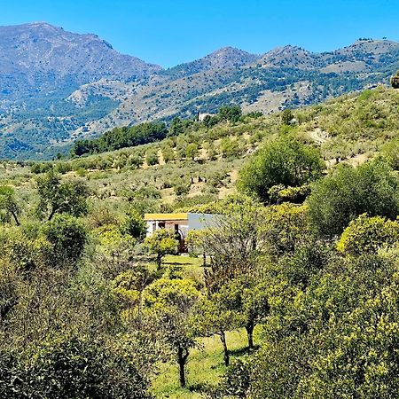 شقة Finca Martina كاسارابونيلا المظهر الخارجي الصورة